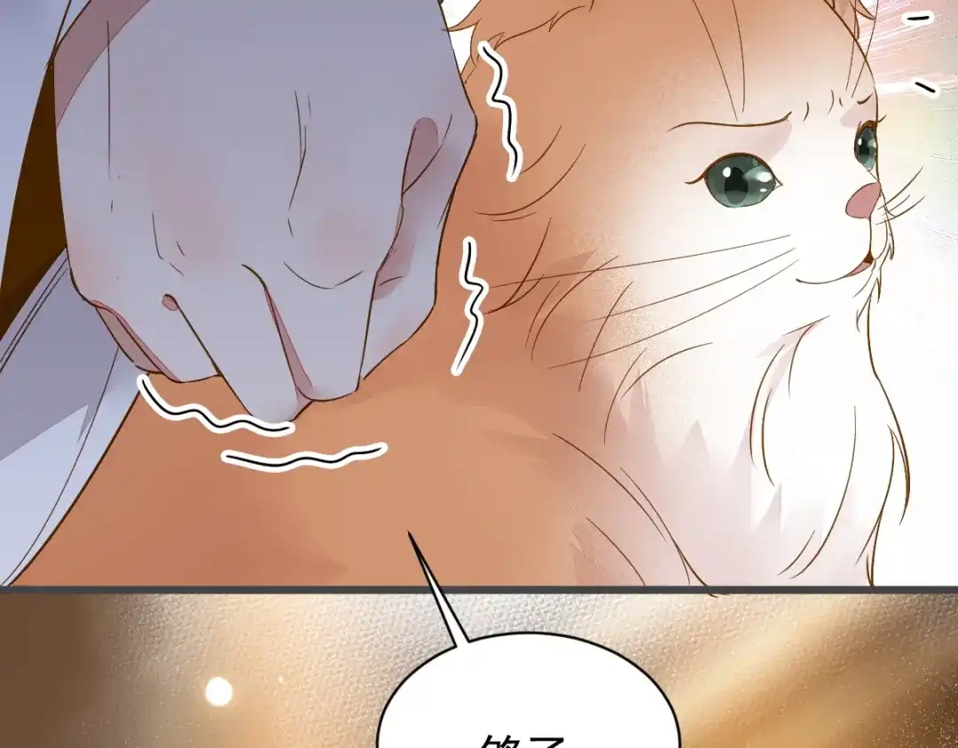 《杀手王妃不好惹》49-pua式疯母 第32页