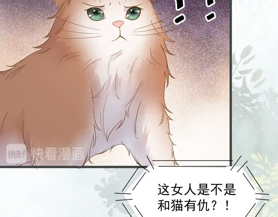 《杀手王妃不好惹》49-pua式疯母 第30页
