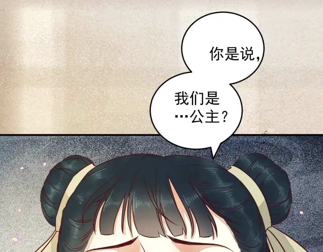 《杀手王妃不好惹》50-竟是亲姐妹 第33页