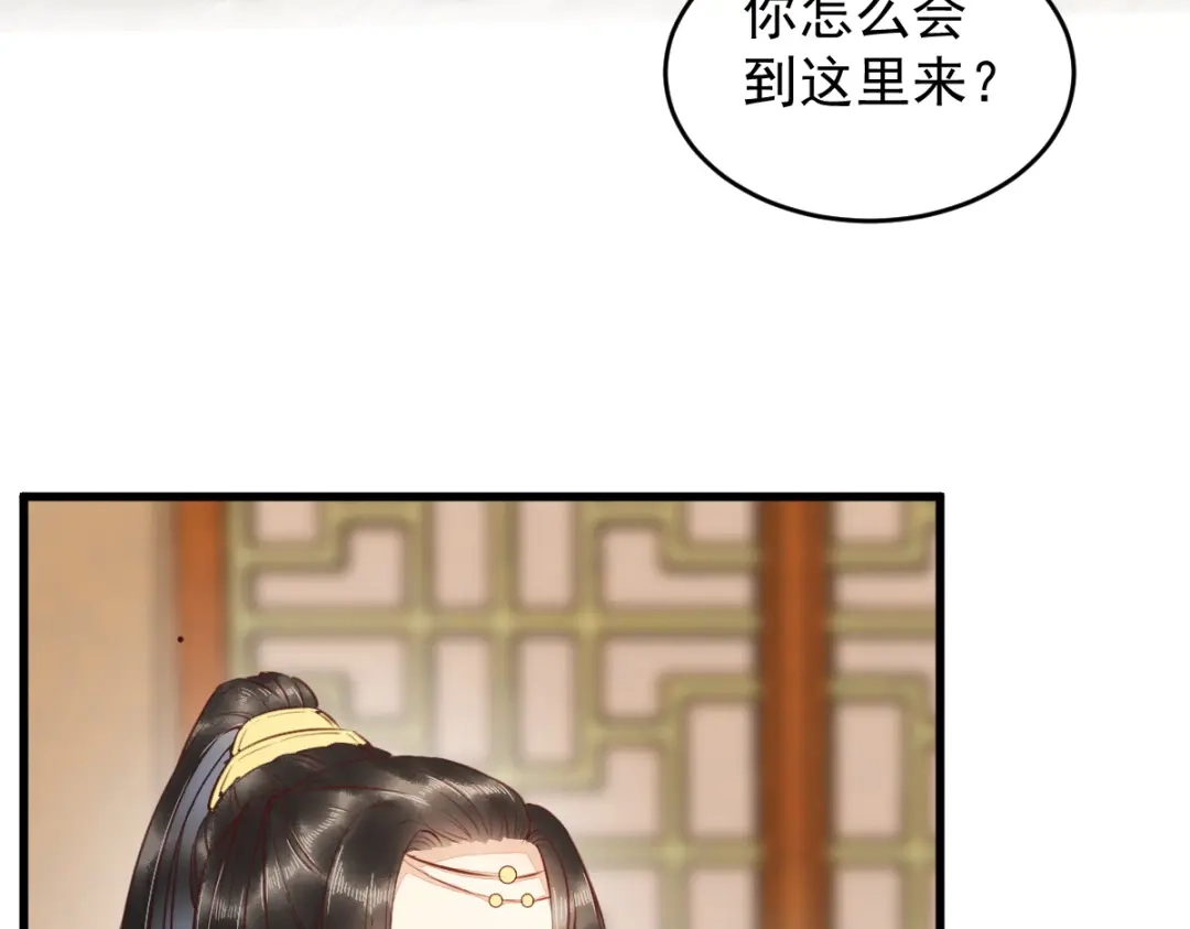 《杀手王妃不好惹》50-竟是亲姐妹 第4页