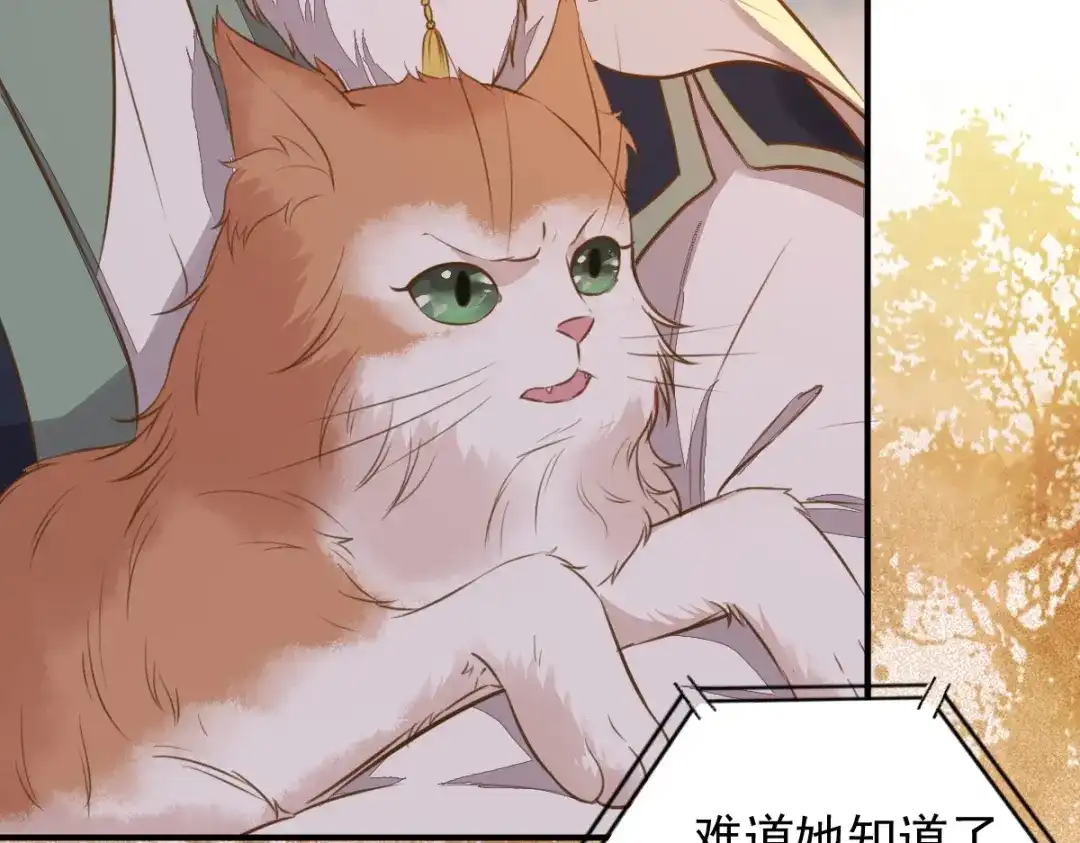 《杀手王妃不好惹》50-竟是亲姐妹 第68页