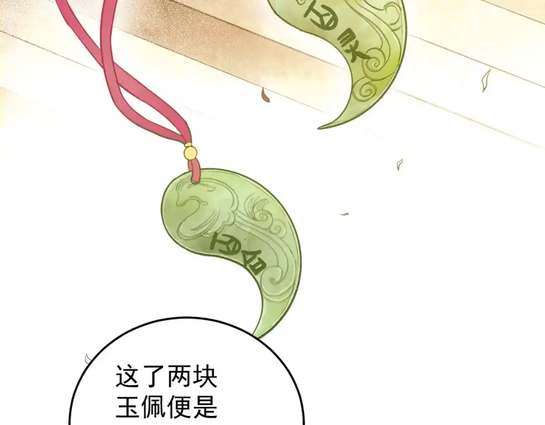 《杀手王妃不好惹》50-竟是亲姐妹 第28页