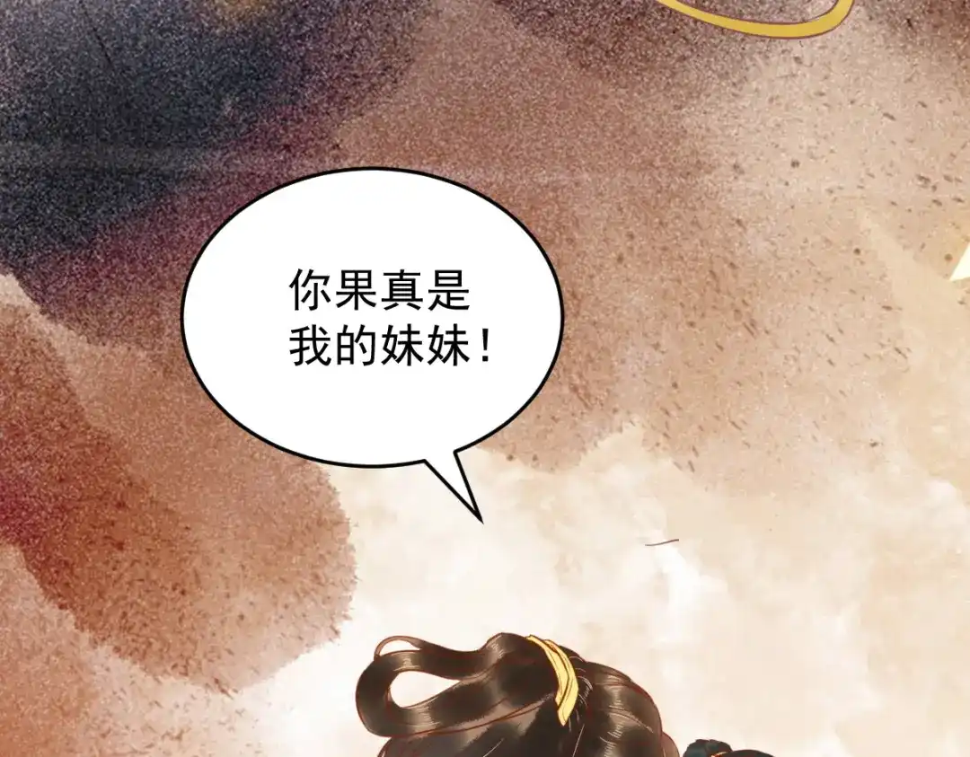 《杀手王妃不好惹》50-竟是亲姐妹 第13页