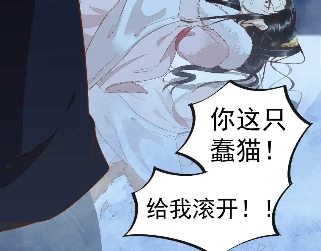 《杀手王妃不好惹》51-莫莜莜肉身被毁 第79页