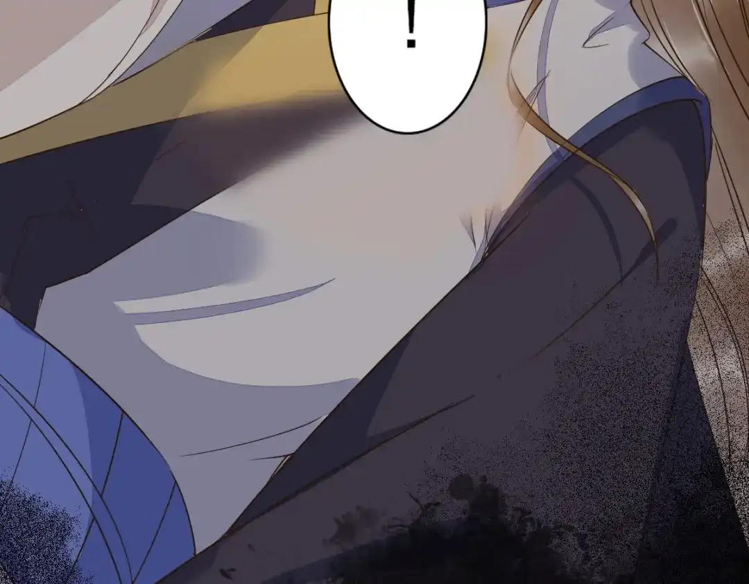 《杀手王妃不好惹》51-莫莜莜肉身被毁 第46页