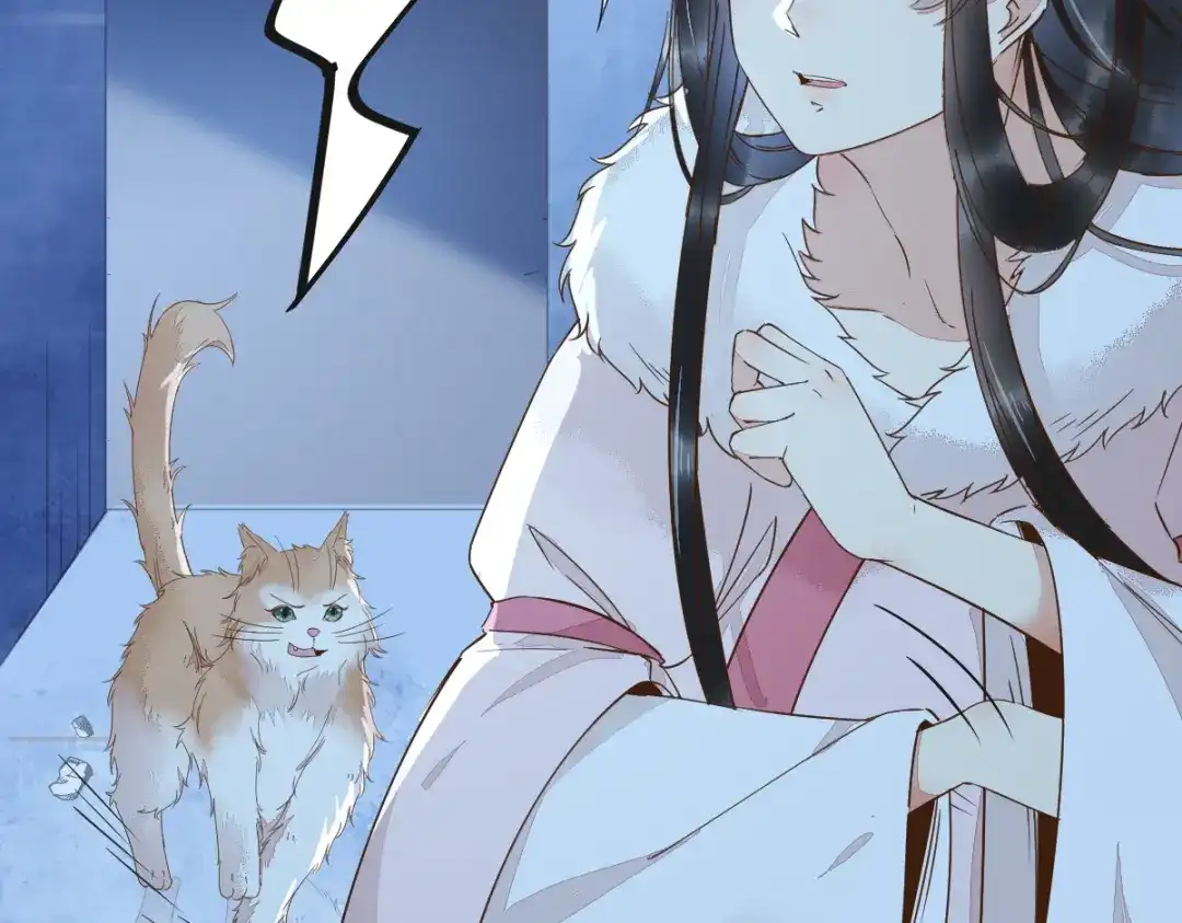 《杀手王妃不好惹》51-莫莜莜肉身被毁 第62页