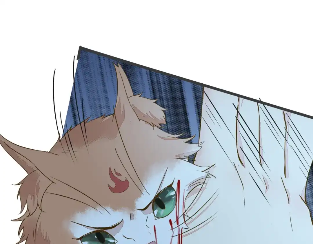 《杀手王妃不好惹》51-莫莜莜肉身被毁 第69页