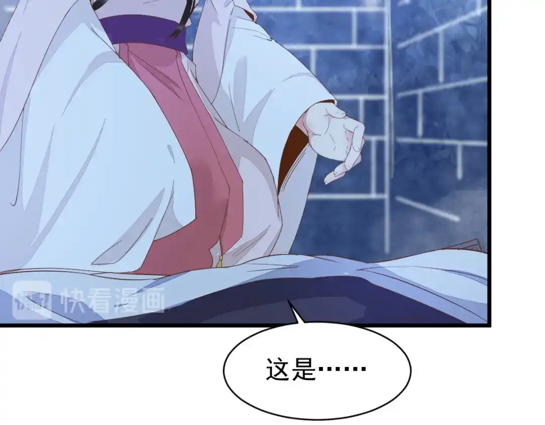 《杀手王妃不好惹》51-莫莜莜肉身被毁 第56页