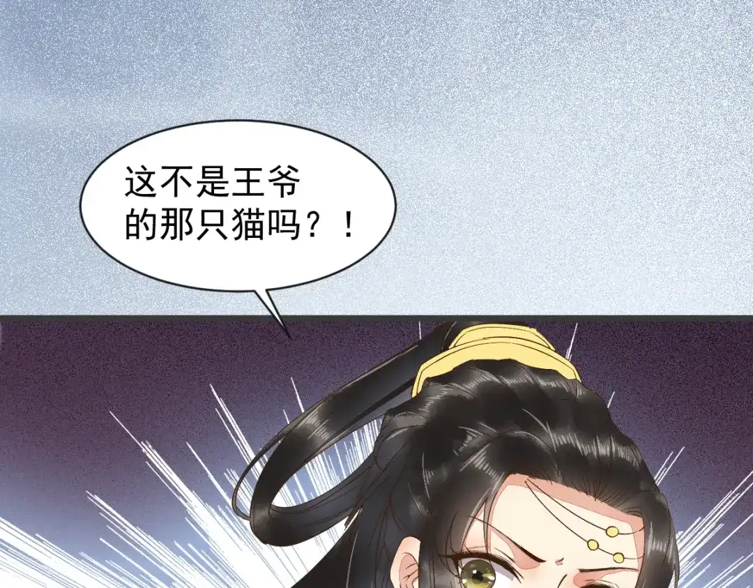 《杀手王妃不好惹》51-莫莜莜肉身被毁 第66页