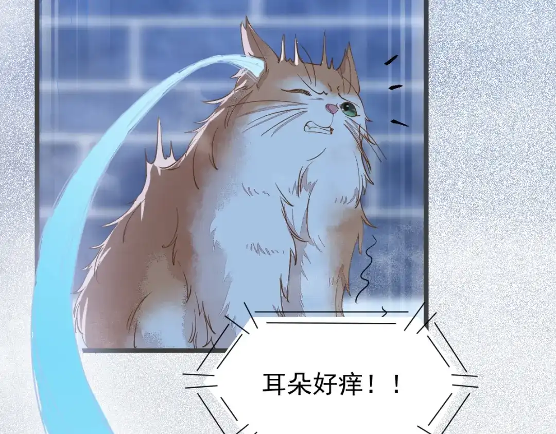 《杀手王妃不好惹》52-百合被废 第75页