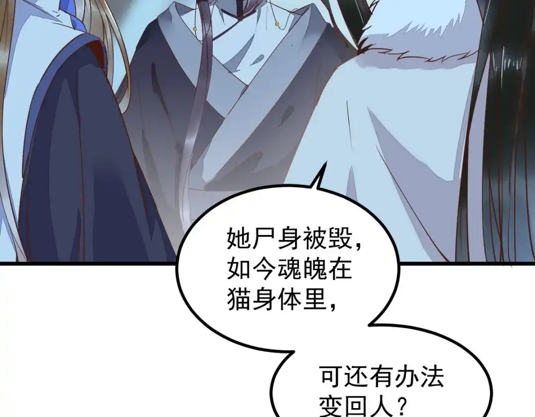 《杀手王妃不好惹》54-正太小龙的cp 第21页