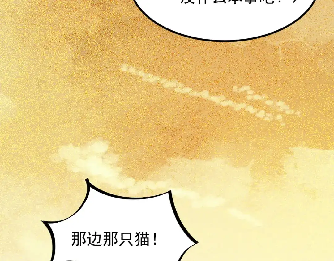 《杀手王妃不好惹》54-正太小龙的cp 第70页