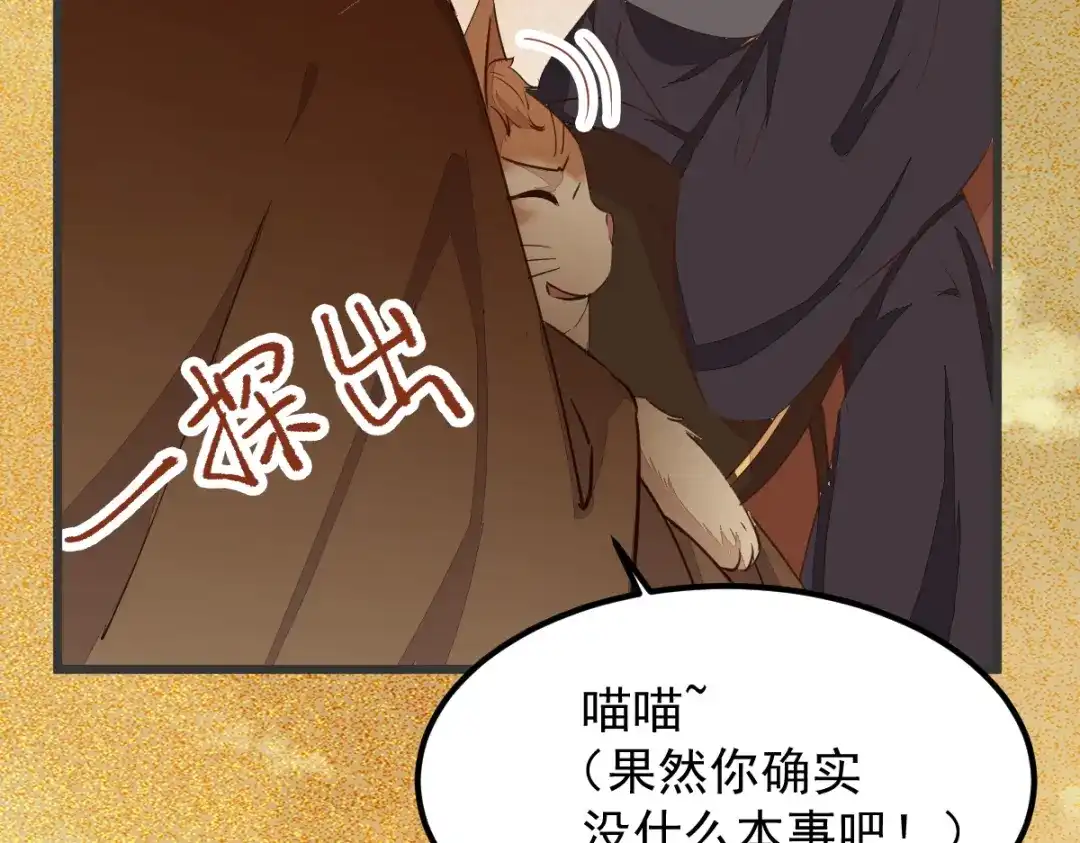 《杀手王妃不好惹》54-正太小龙的cp 第69页