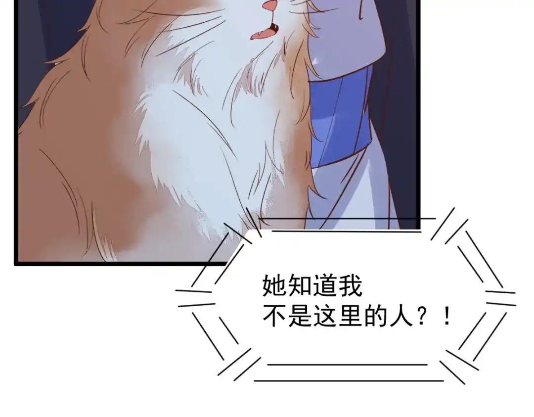《杀手王妃不好惹》55-异世的肉身 第86页