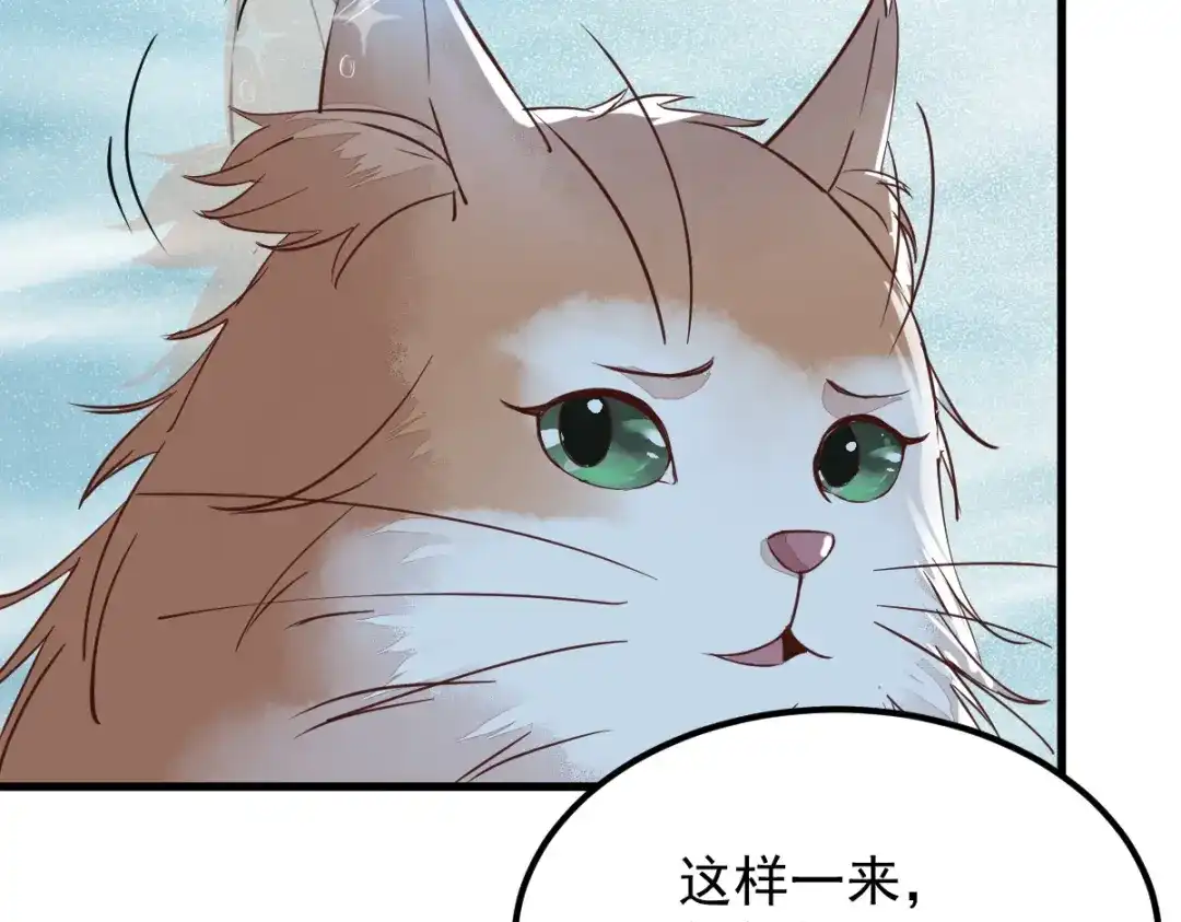 《杀手王妃不好惹》55-异世的肉身 第66页