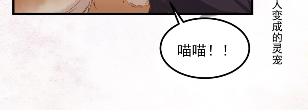 《杀手王妃不好惹》56-皇叔的真实身份 第35页