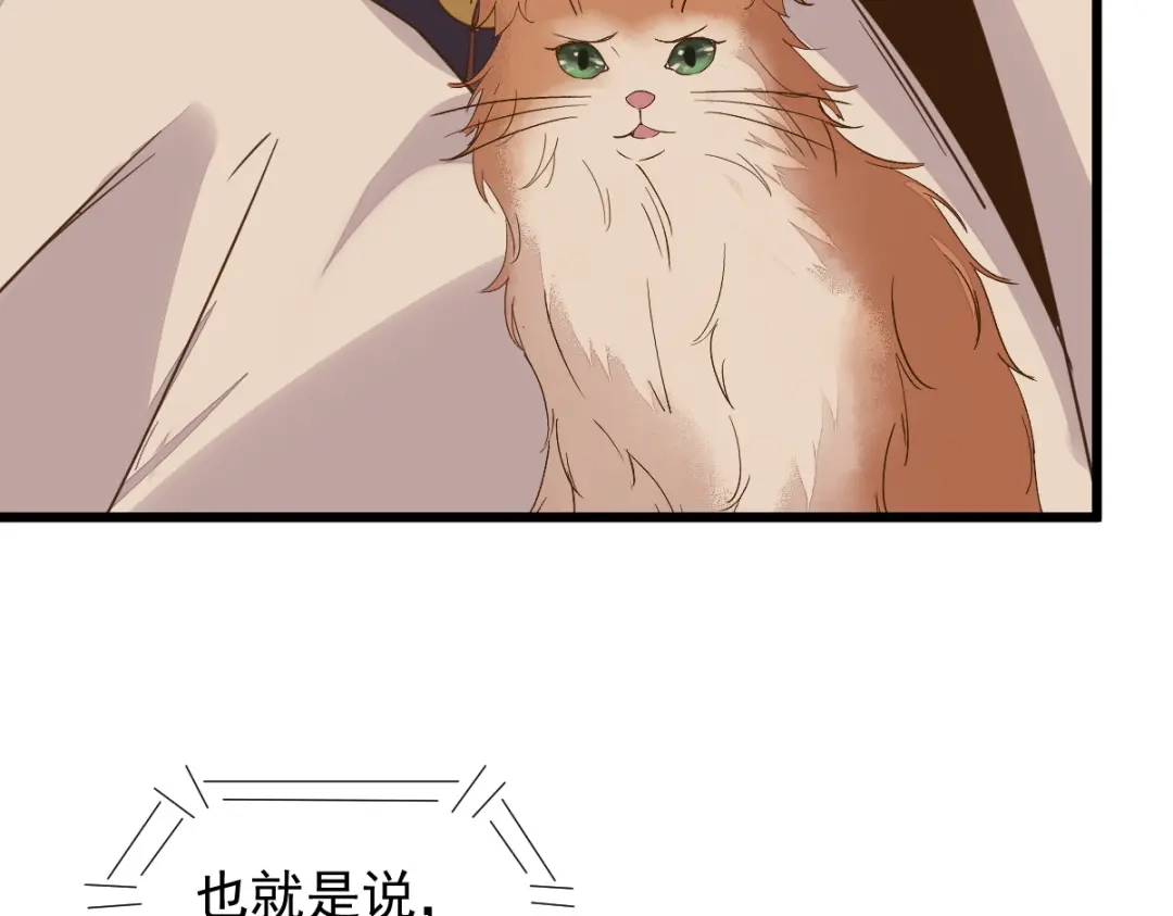 《杀手王妃不好惹》56-皇叔的真实身份 第87页
