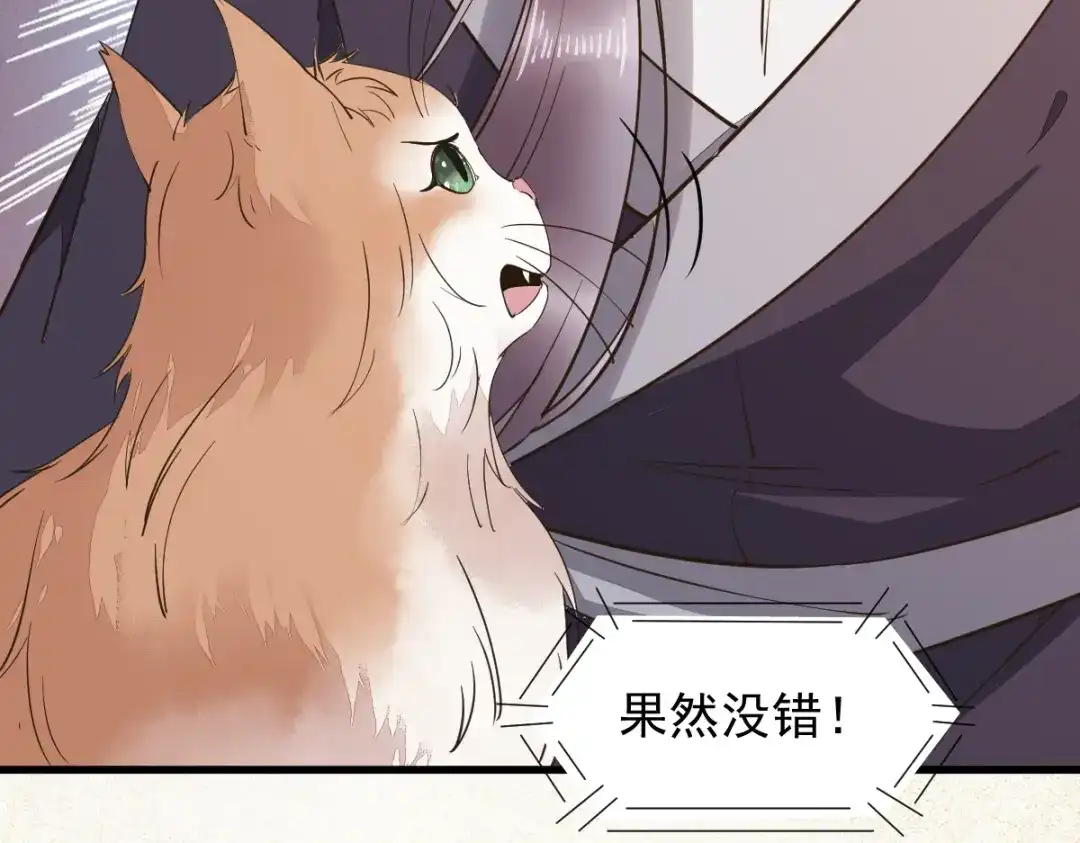 《杀手王妃不好惹》56-皇叔的真实身份 第44页