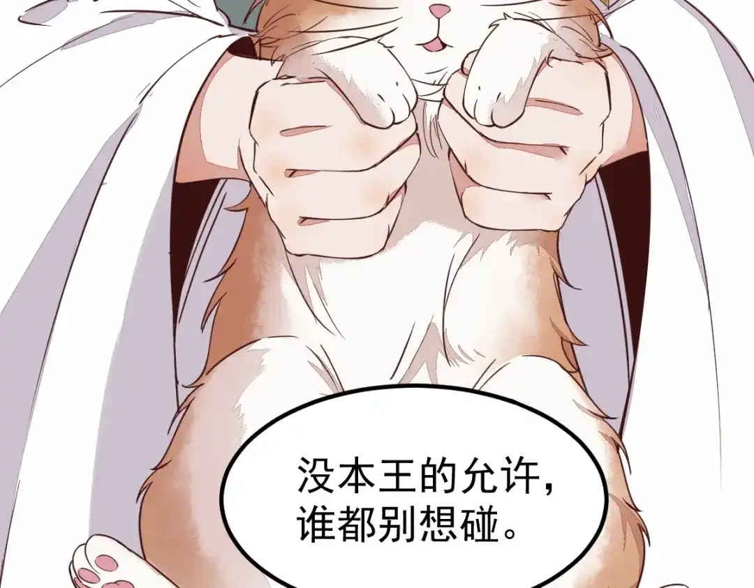 《杀手王妃不好惹》57-她是我的猫 第95页