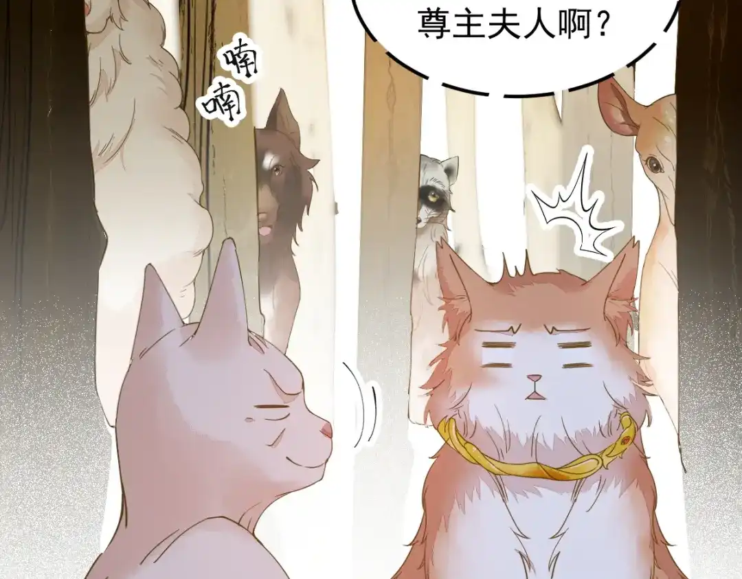 《杀手王妃不好惹》57-她是我的猫 第84页