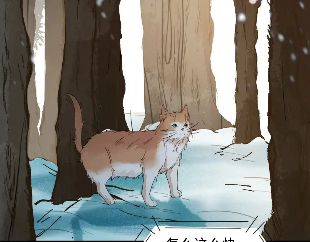 《杀手王妃不好惹》57-她是我的猫 第53页