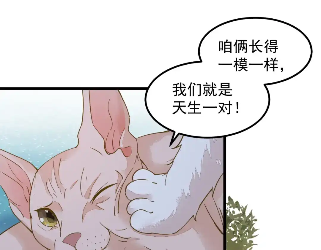 《杀手王妃不好惹》57-她是我的猫 第80页
