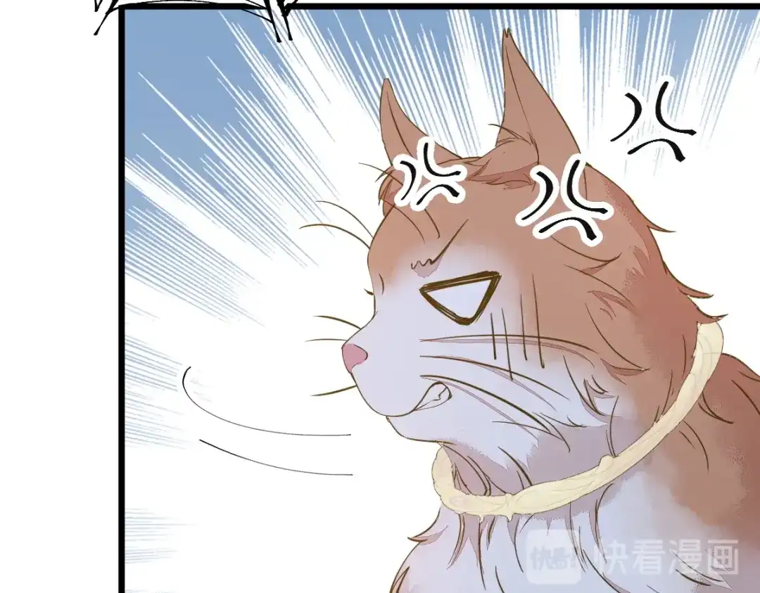 《杀手王妃不好惹》57-她是我的猫 第86页