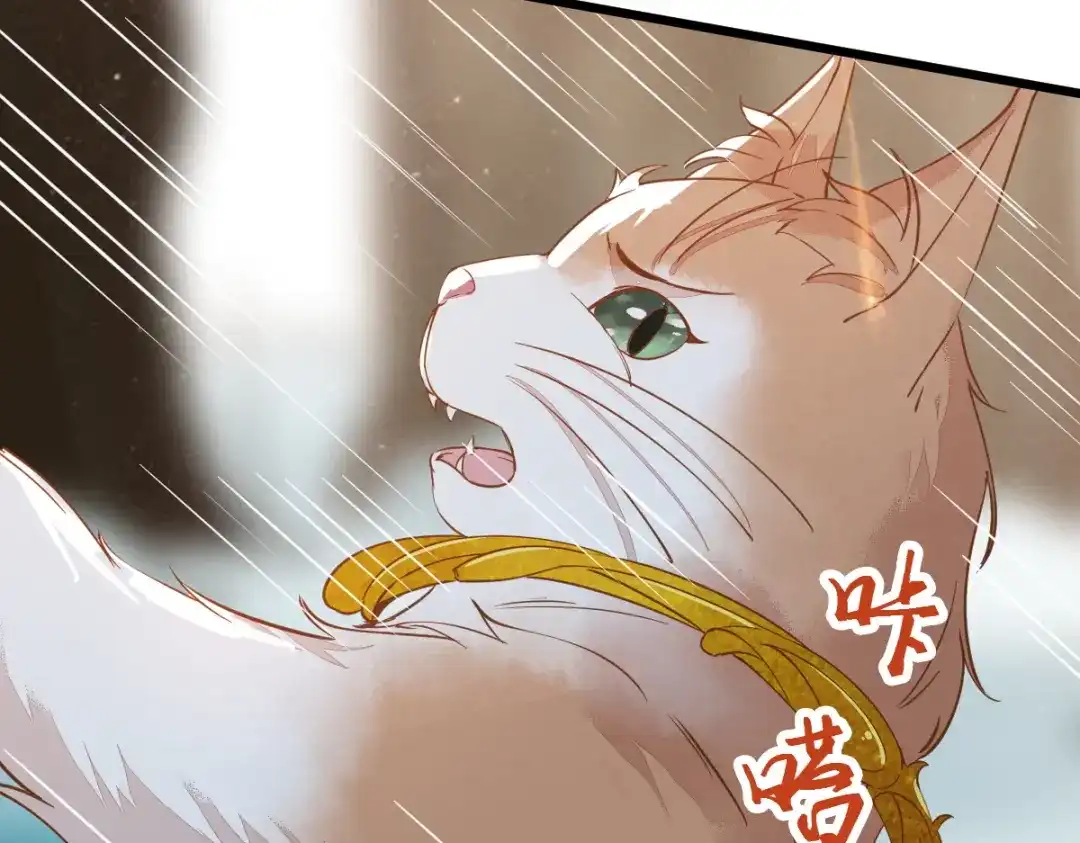 《杀手王妃不好惹》57-她是我的猫 第66页