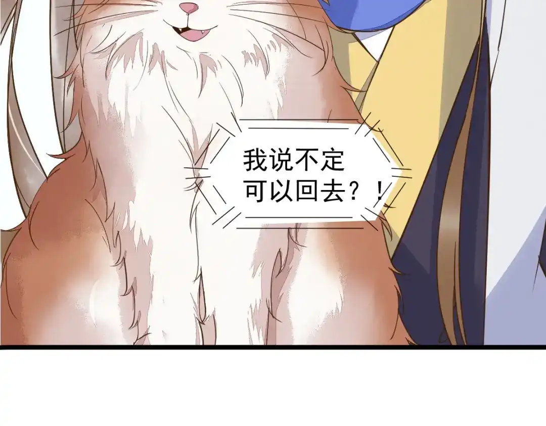 《杀手王妃不好惹》57-她是我的猫 第11页
