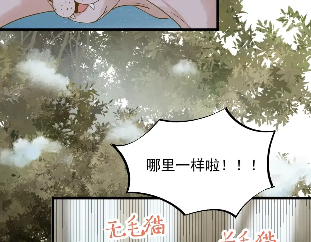 《杀手王妃不好惹》57-她是我的猫 第81页