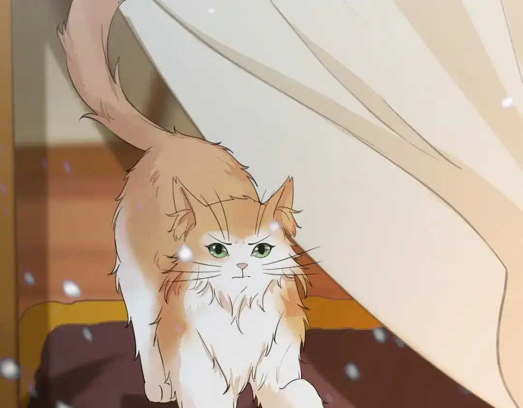 《杀手王妃不好惹》57-她是我的猫 第47页
