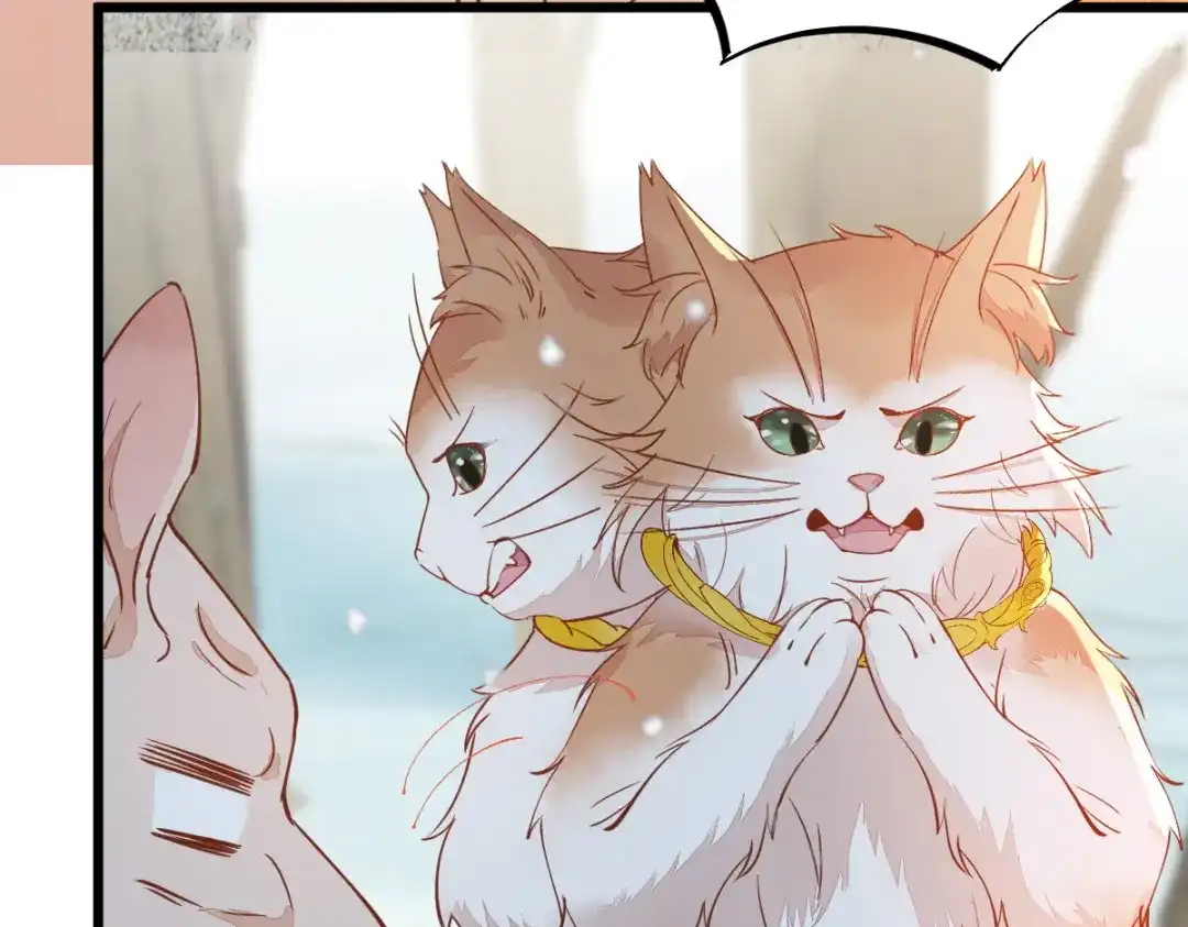 《杀手王妃不好惹》57-她是我的猫 第72页