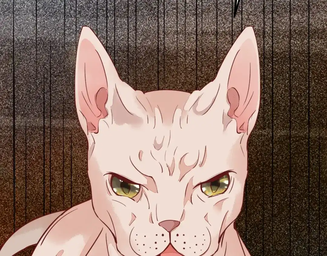 《杀手王妃不好惹》57-她是我的猫 第75页