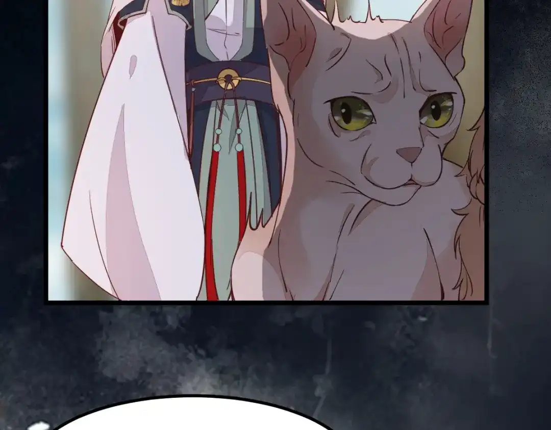 《杀手王妃不好惹》57-她是我的猫 第92页