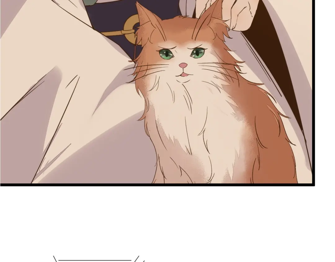 《杀手王妃不好惹》57-她是我的猫 第8页