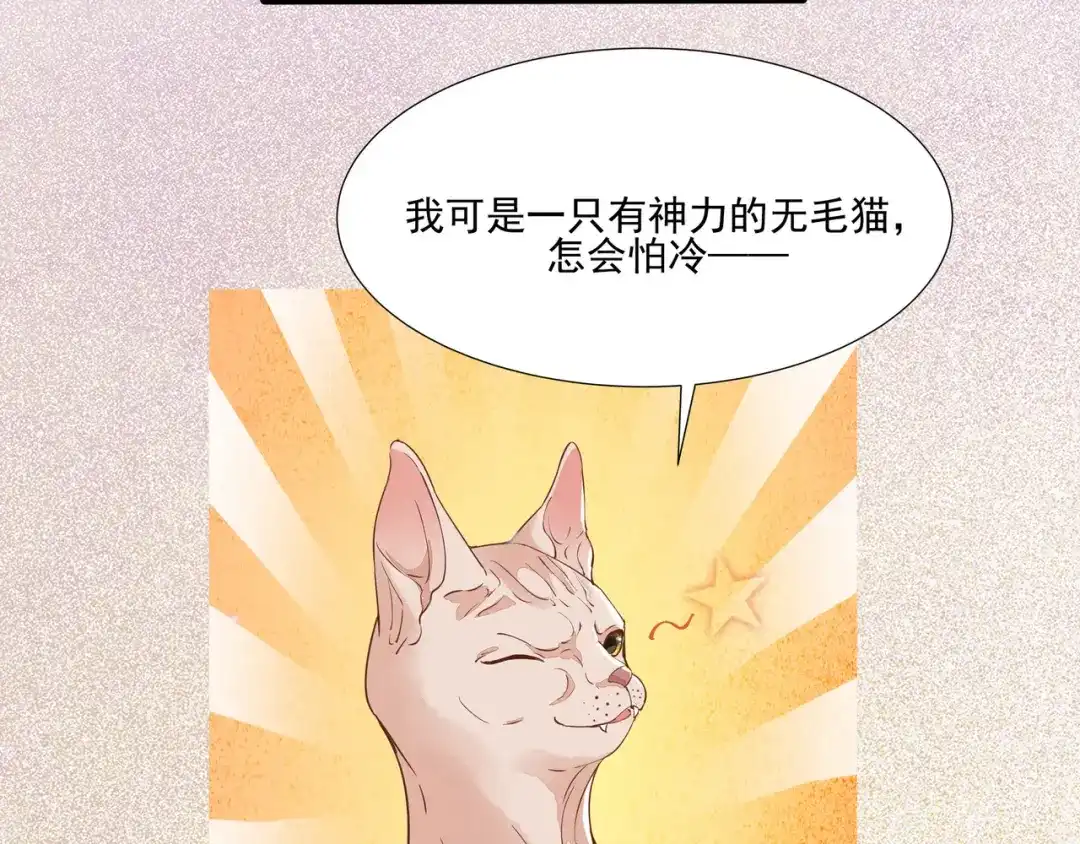 《杀手王妃不好惹》57-她是我的猫 第98页