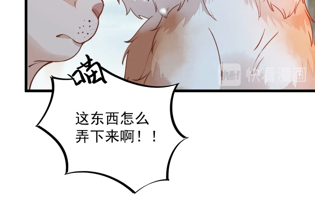 《杀手王妃不好惹》57-她是我的猫 第73页