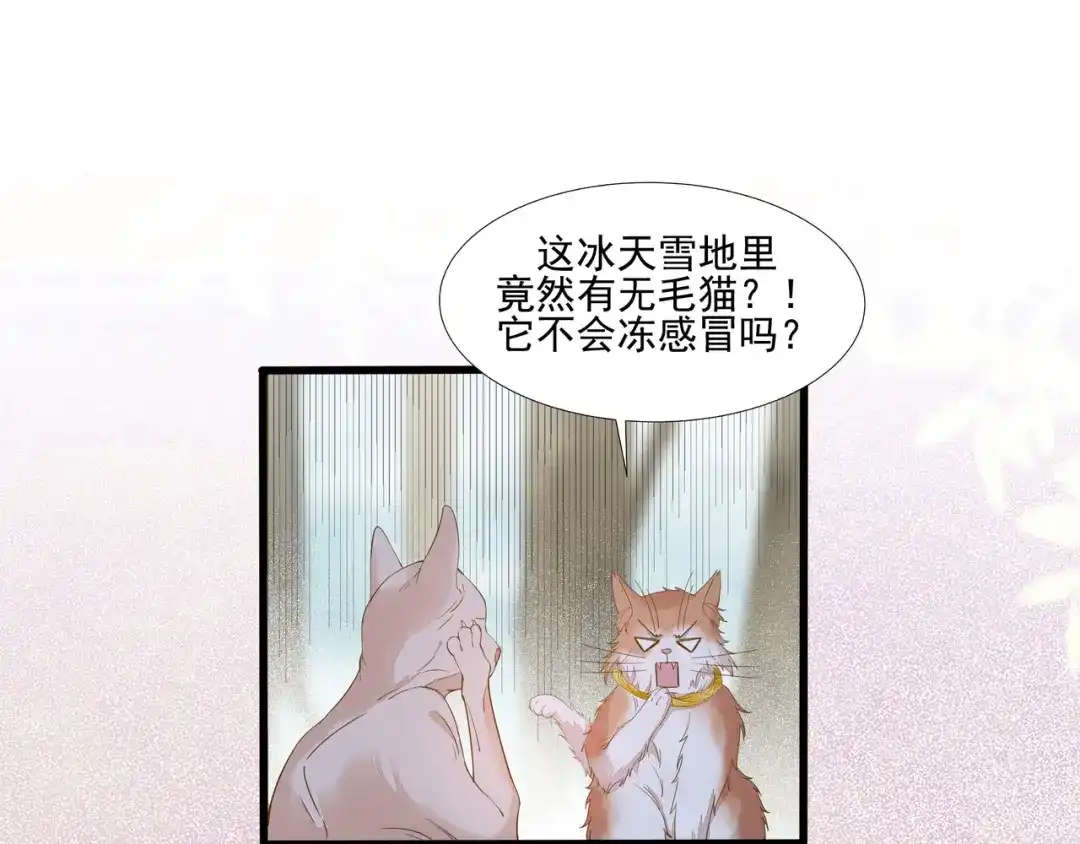 《杀手王妃不好惹》57-她是我的猫 第97页