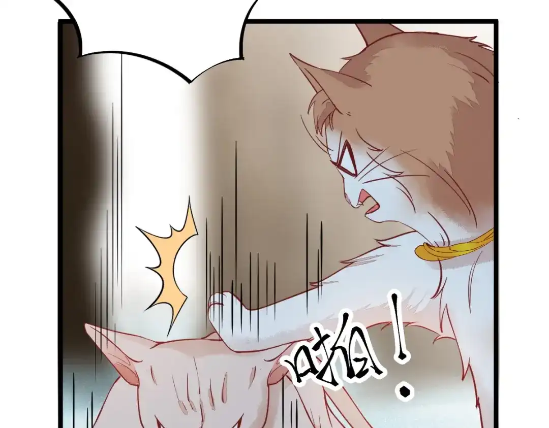 《杀手王妃不好惹》57-她是我的猫 第78页