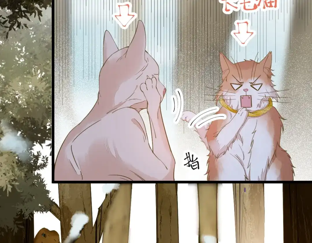 《杀手王妃不好惹》57-她是我的猫 第82页
