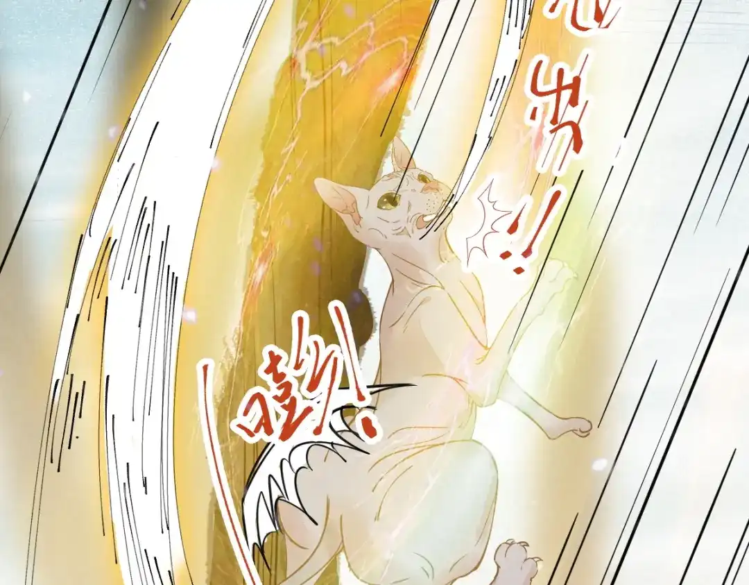 《杀手王妃不好惹》57-她是我的猫 第63页