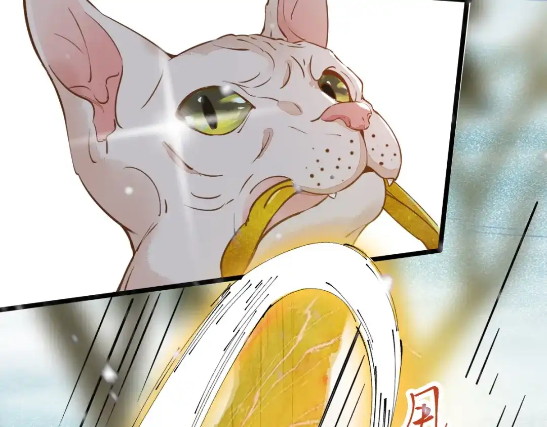 《杀手王妃不好惹》57-她是我的猫 第62页