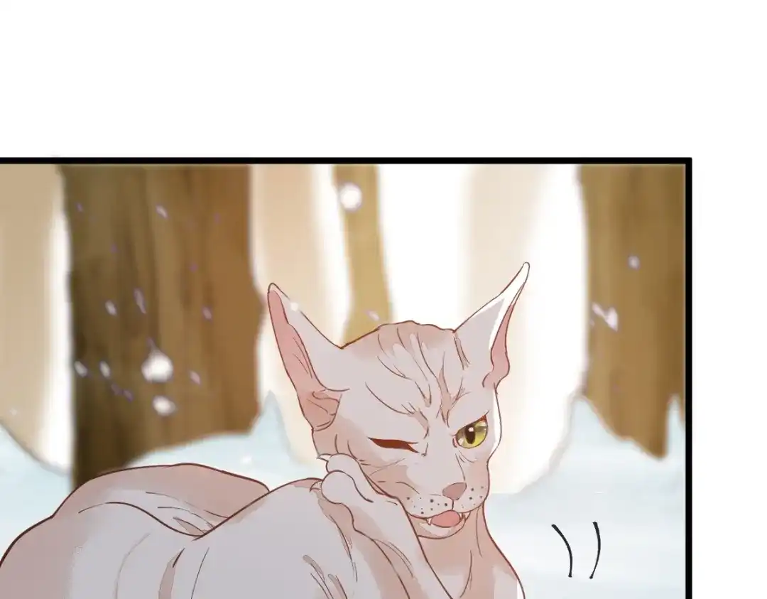 《杀手王妃不好惹》57-她是我的猫 第68页