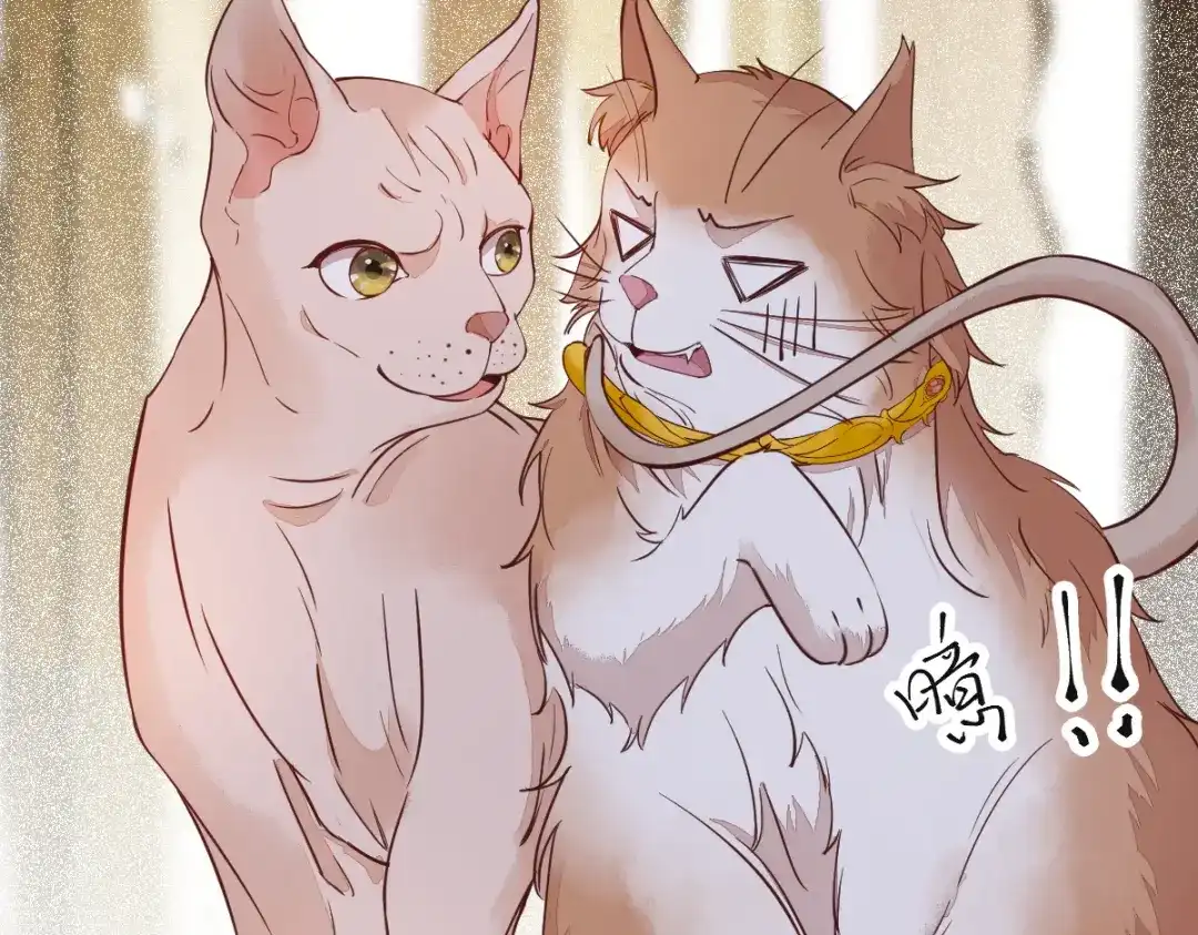《杀手王妃不好惹》57-她是我的猫 第89页
