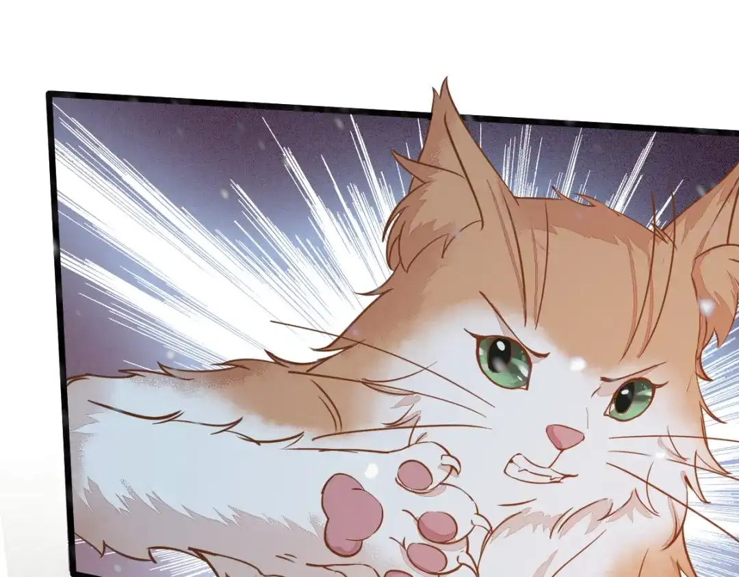 《杀手王妃不好惹》57-她是我的猫 第58页