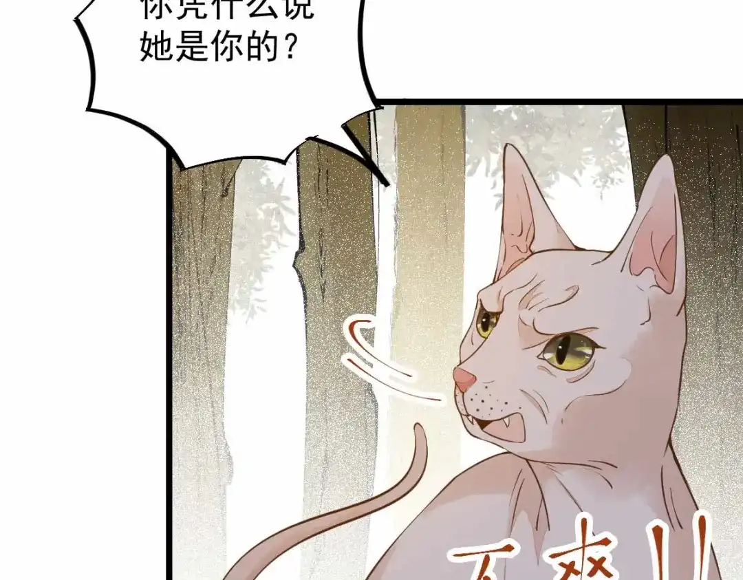 《杀手王妃不好惹》58-神秘项圈开启时光隧道？ 第12页
