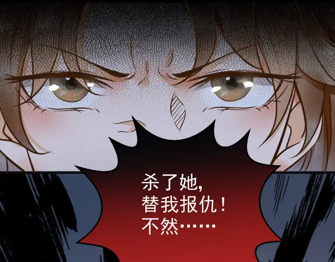 《杀手王妃不好惹》06-原主出现 第144页