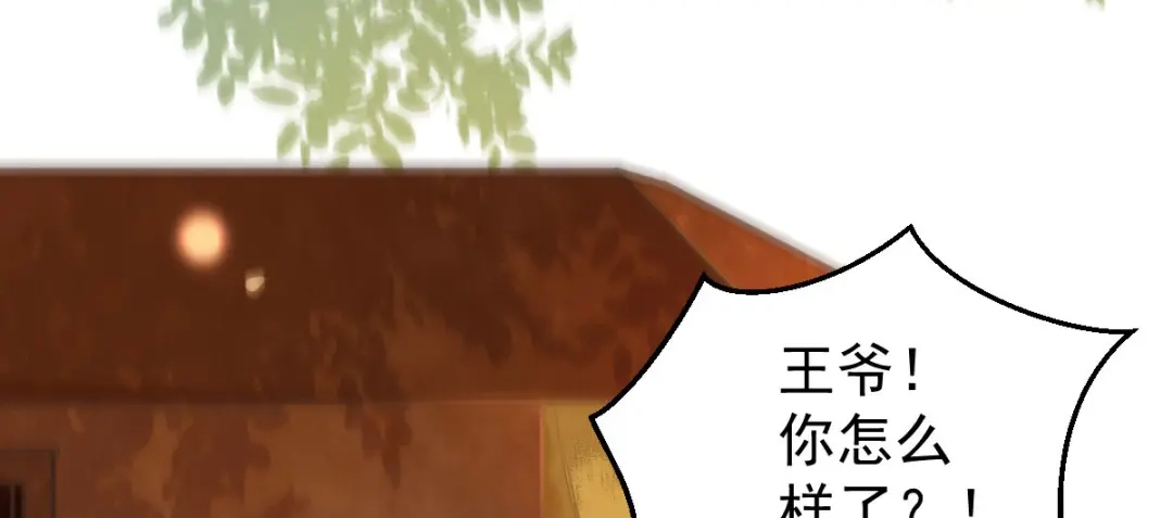 《杀手王妃不好惹》06-原主出现 第17页