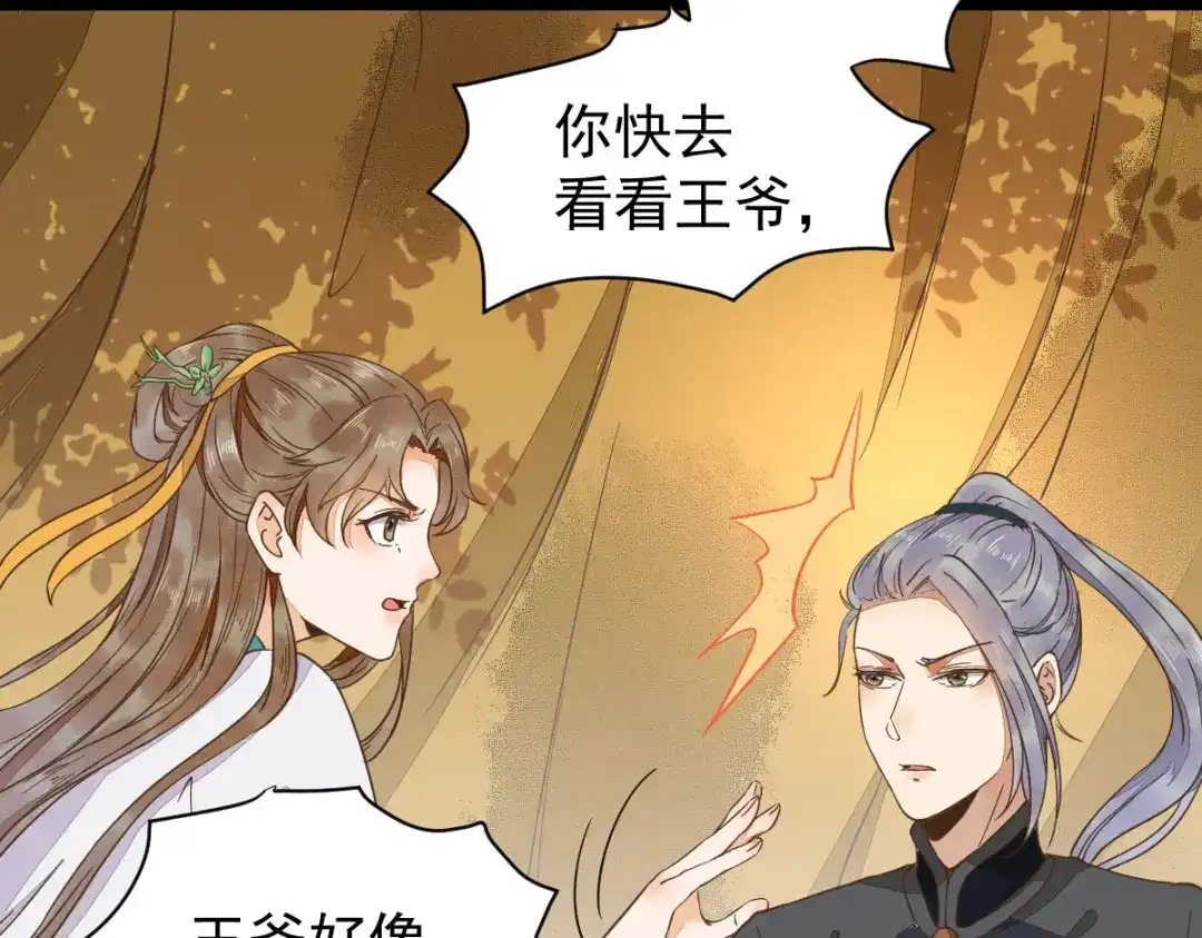 《杀手王妃不好惹》06-原主出现 第15页