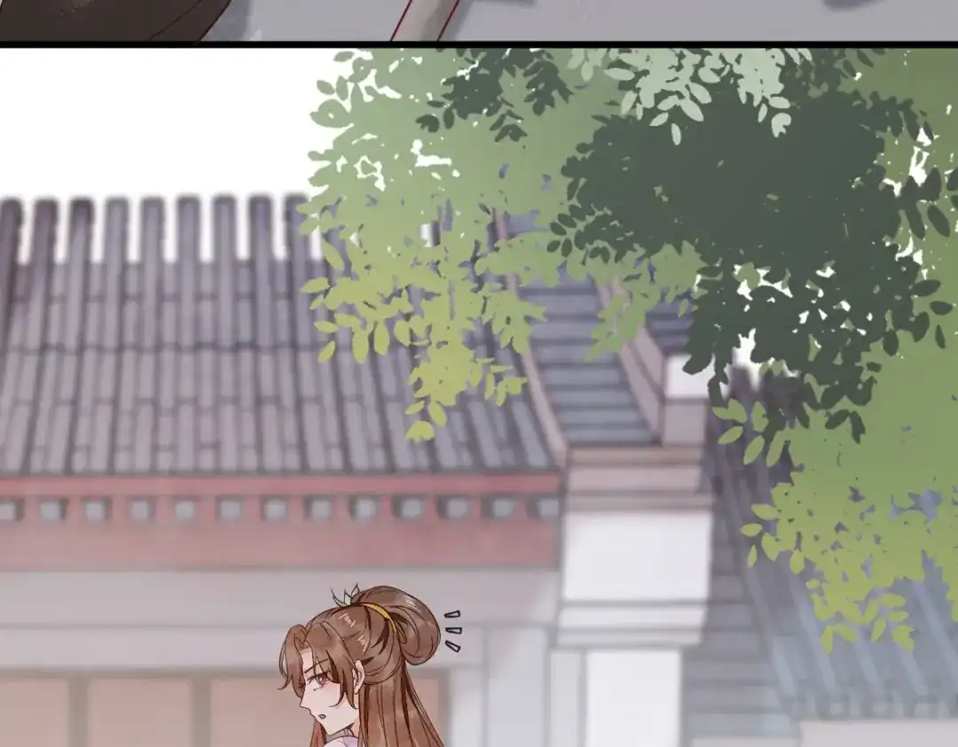 《杀手王妃不好惹》06-原主出现 第110页